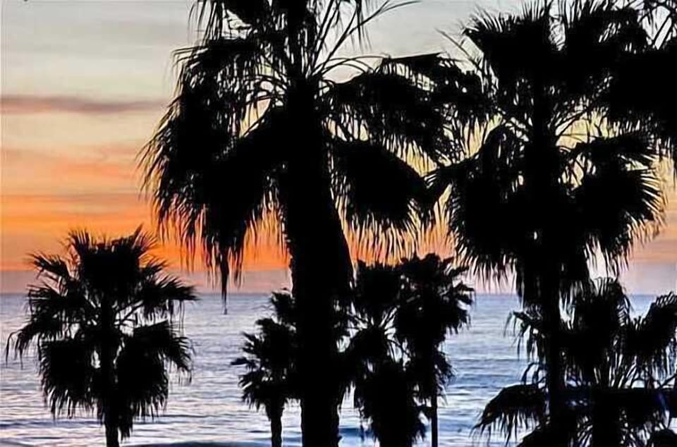 Palms and sunset.