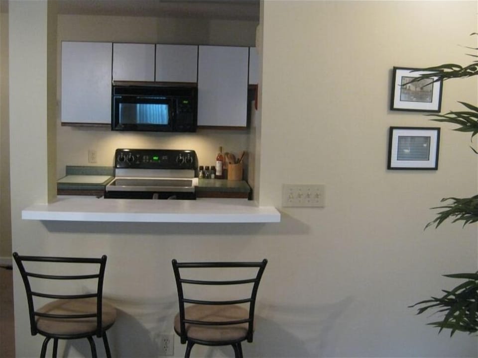 Entrance way and Breakfast Counter