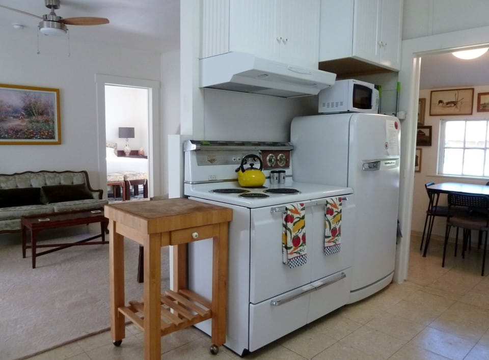 Kitchen--vintage appliances
