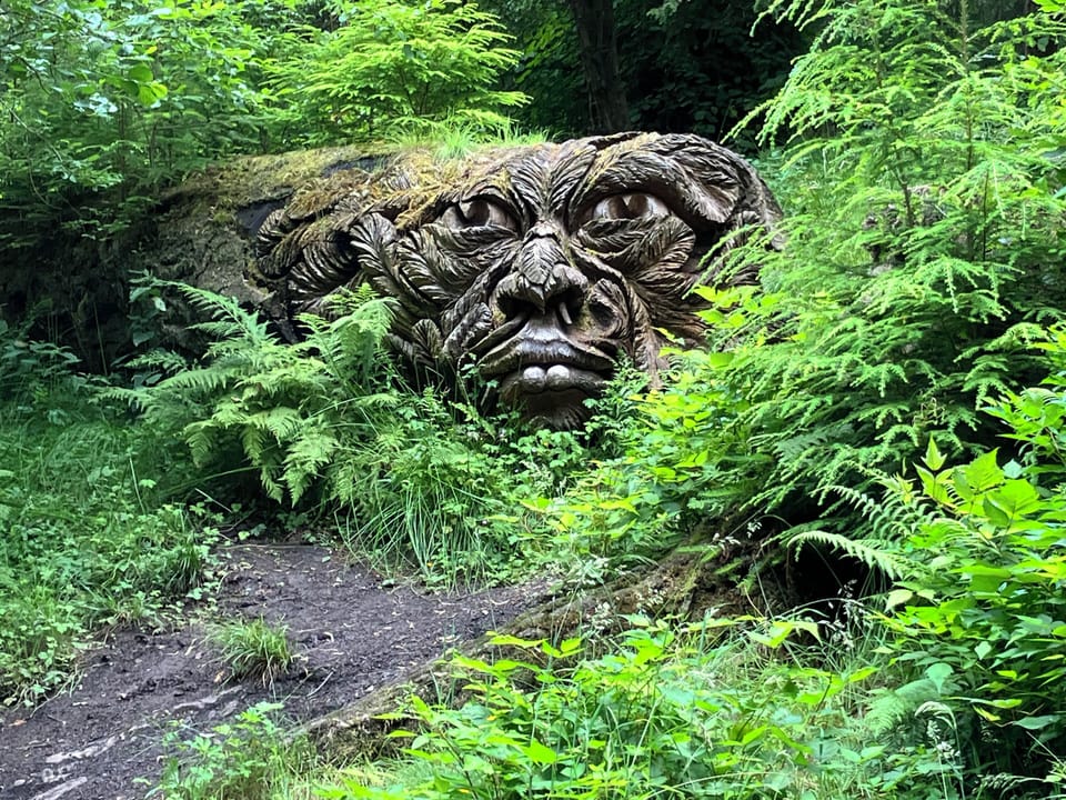 Cragside.   Lovely day out
