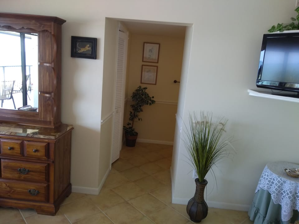 Bathroom and closet entrance from master bedroom with 50 inch TV 