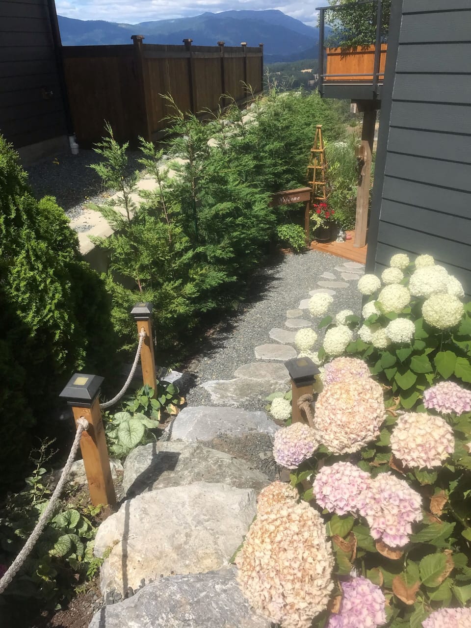 Hydrangea path. 😊 Karen has 18 hydrangeas on the property! 