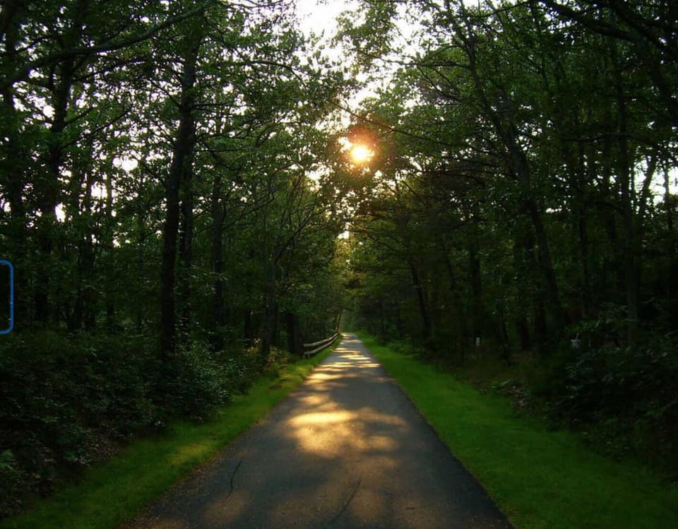 The Cape Cod rail trail is a 5-minute walk up the road