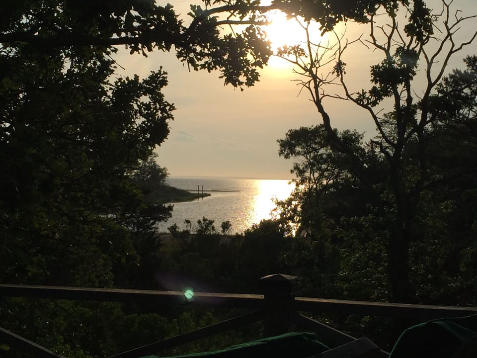 Sunrise over  Great Peconic Bay from the deck with spectacular flora and fauna