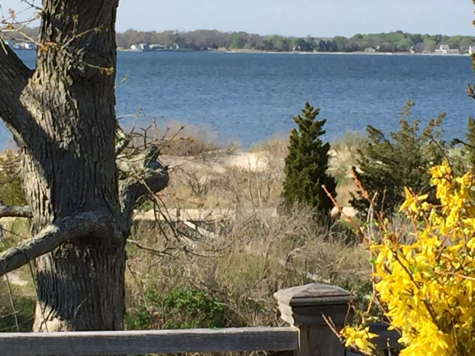 View of the Bay & Beach from the upper deck sit back & enjoy the Birds & Flora.