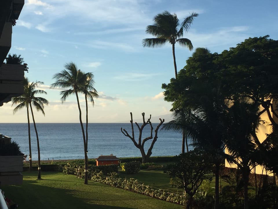 view from balcony
