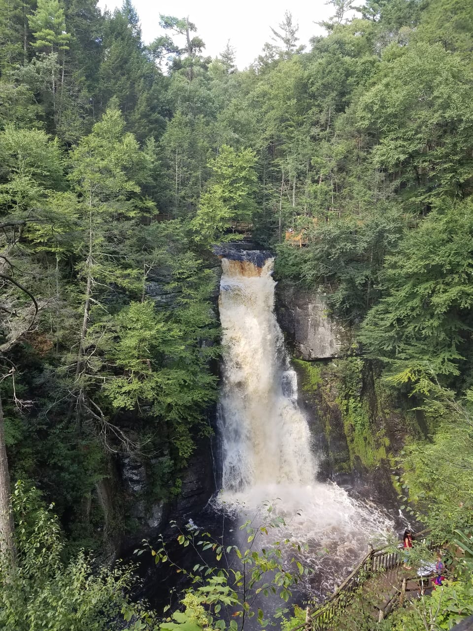 https://www.visitbushkillfalls.com/ 
About 30mins drive from the property.