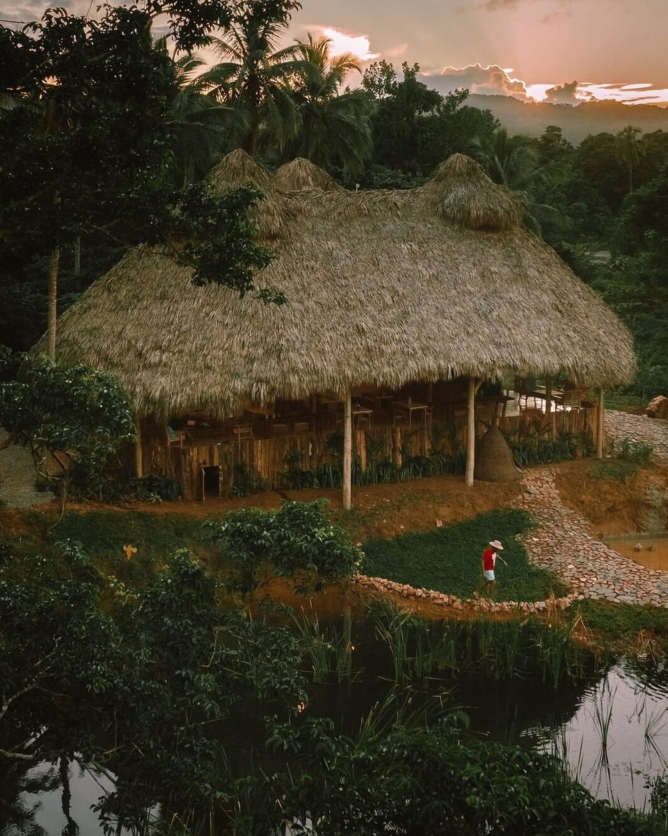 aereal view of the living space