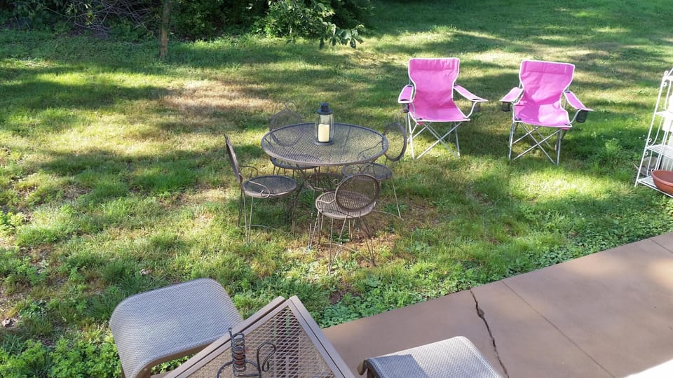Backyard, patio, bar, & gas grill