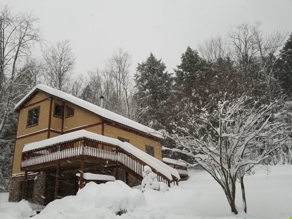Winter in the catskills 
