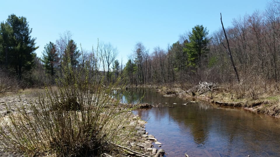 Creek directly across from the house