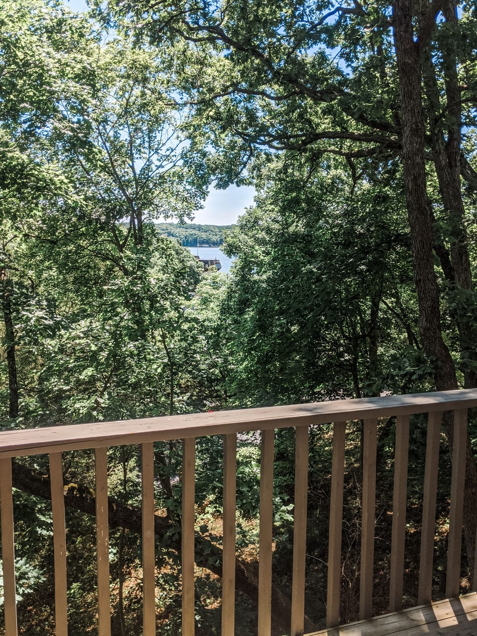 lake view from back deck