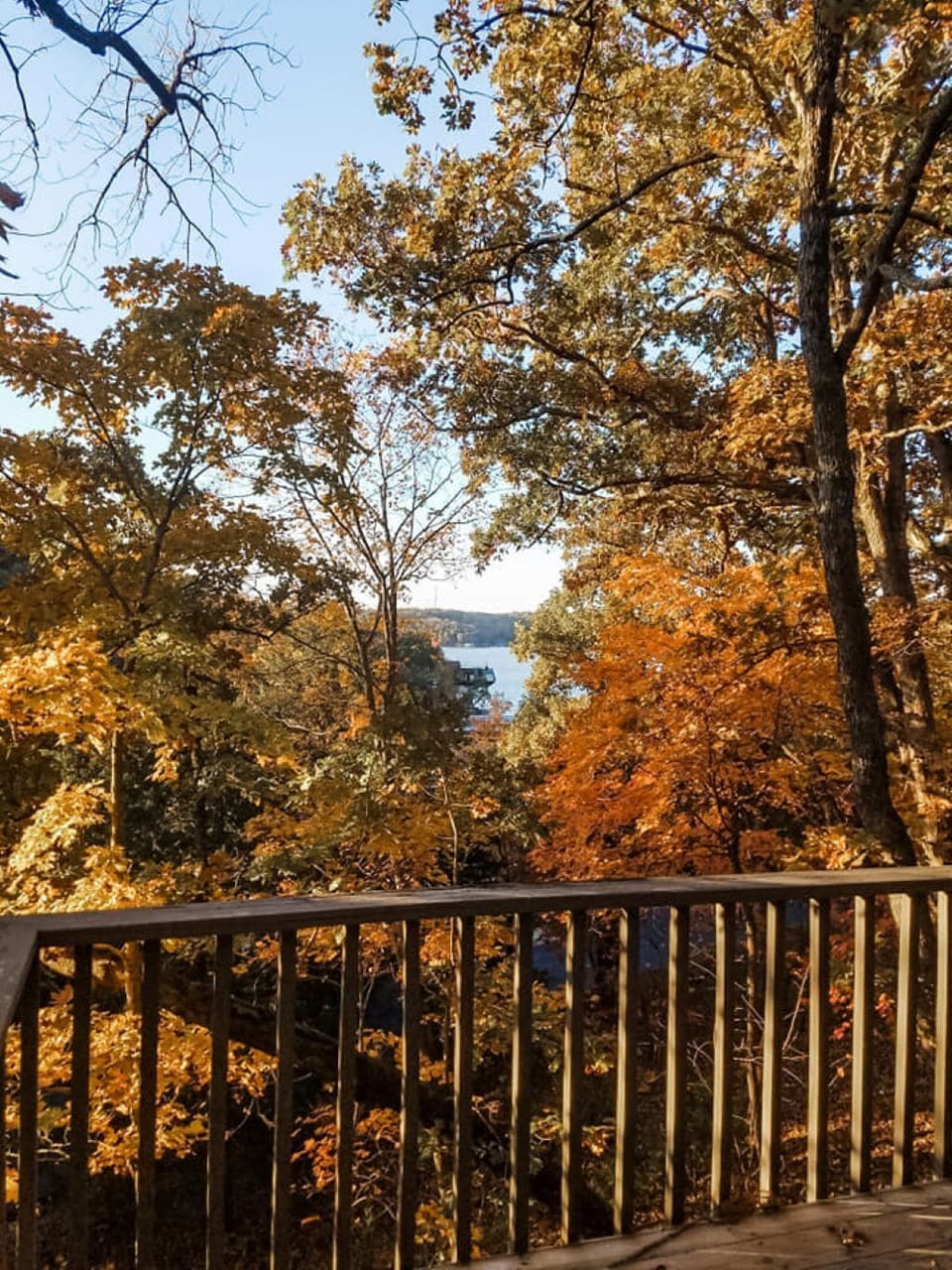 Fall lake view off back deck.