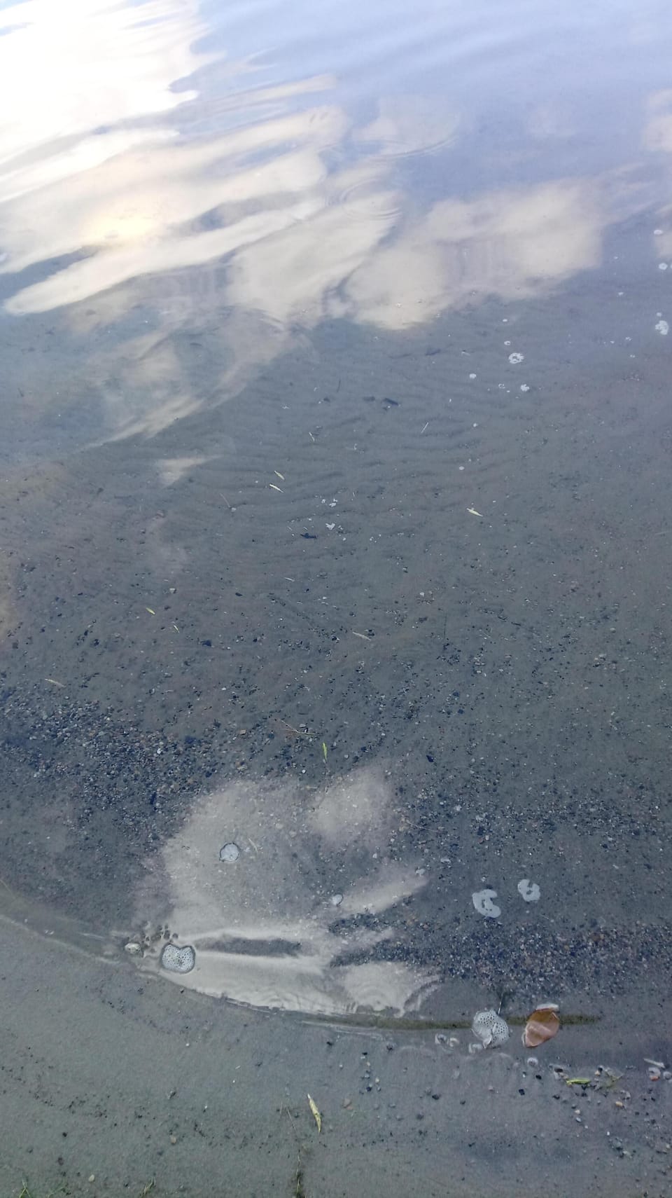 crystal clear sandy water