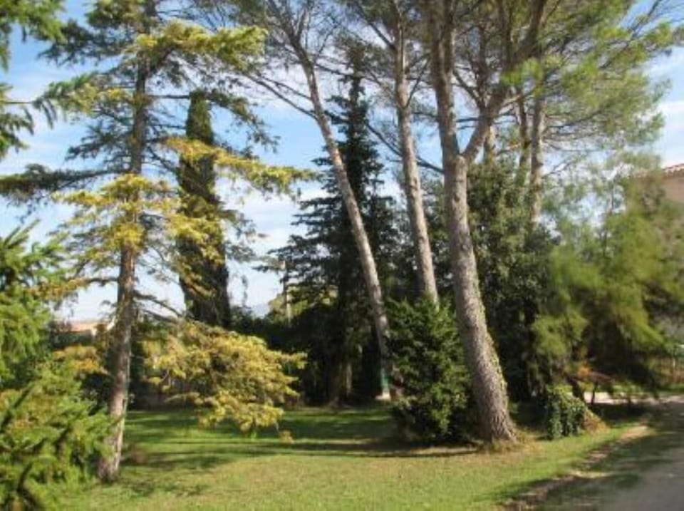 Garden, Park