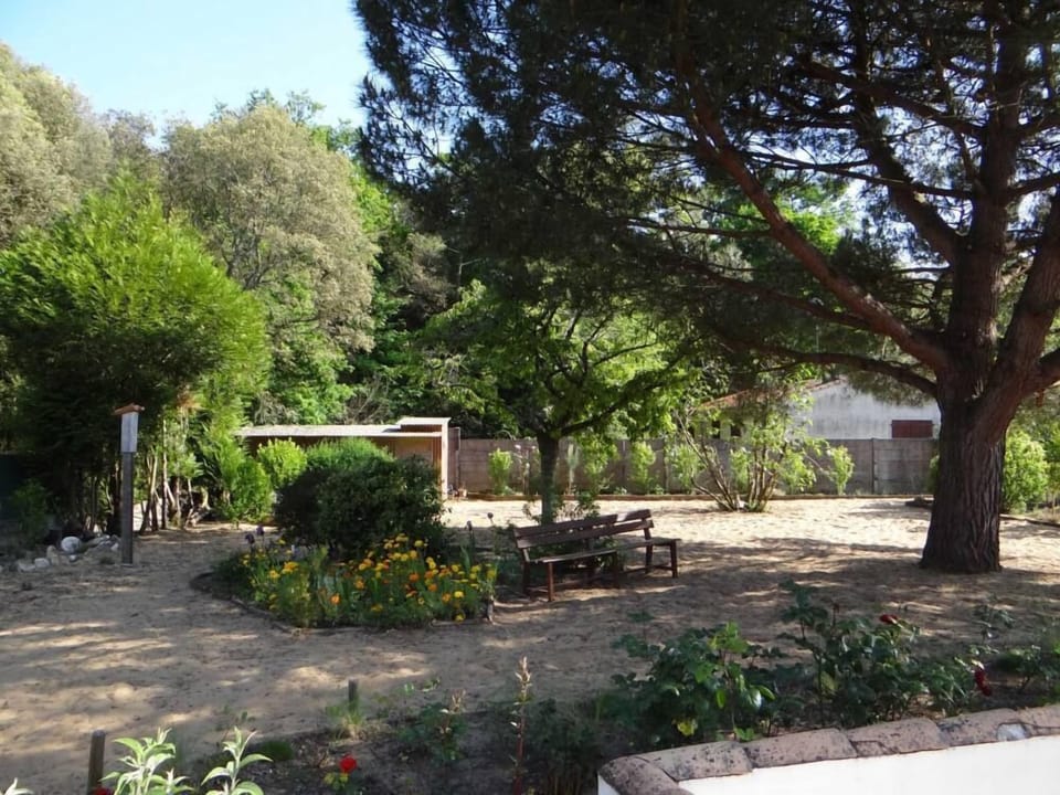 Garden, Park