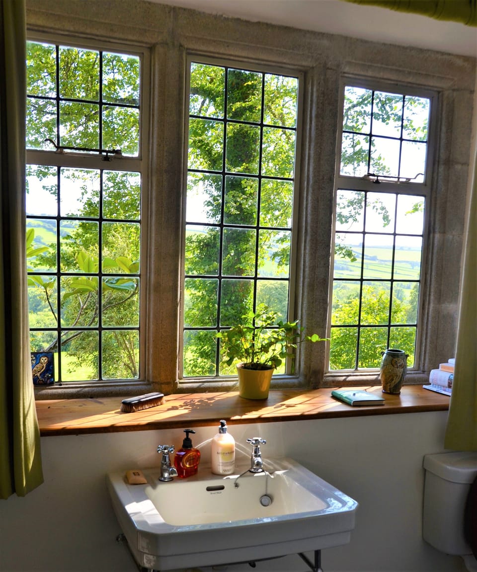 Loo with a view.  And just inside front door, so very convenient!