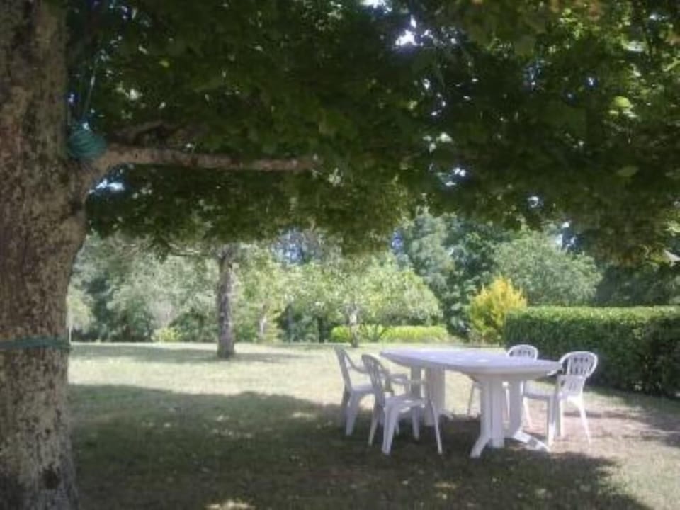 Garden, Park