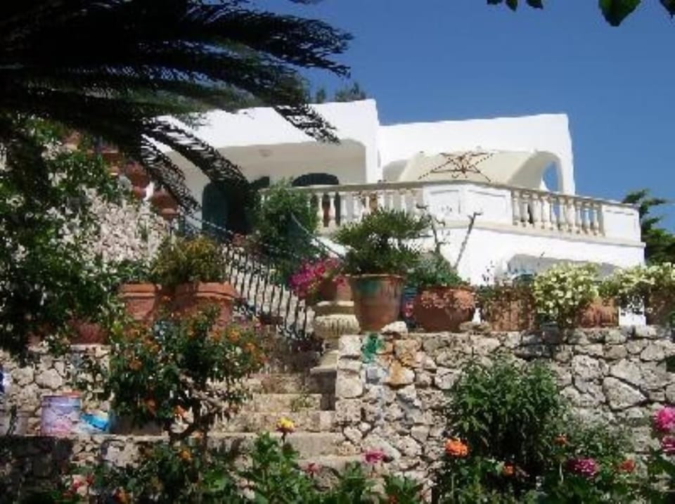 Overview