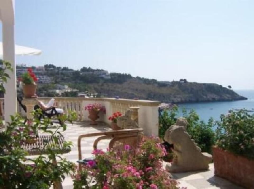 Terrace / Balcony