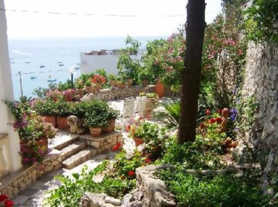 Garden, Park