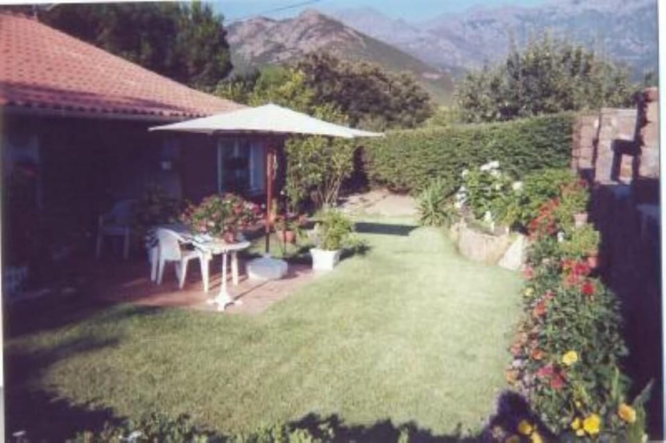 Terrace / Balcony