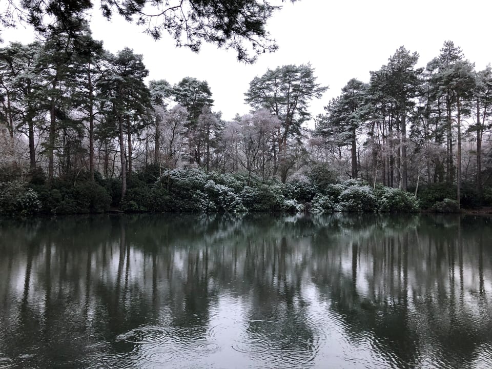 Lake