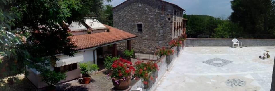 Garden, Park