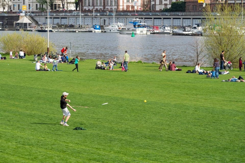 Neckarwiese