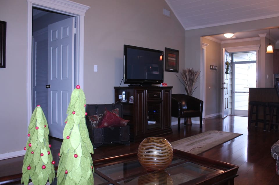 TV set in living room