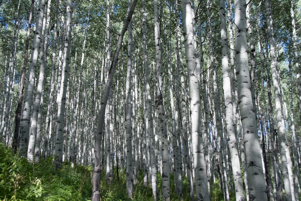 Everkrisp Hike