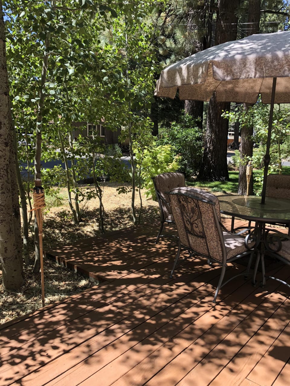 The umbrella is necessary for this sunny spot