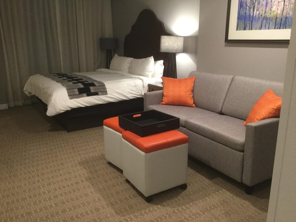 Second bedroom with pullout couch