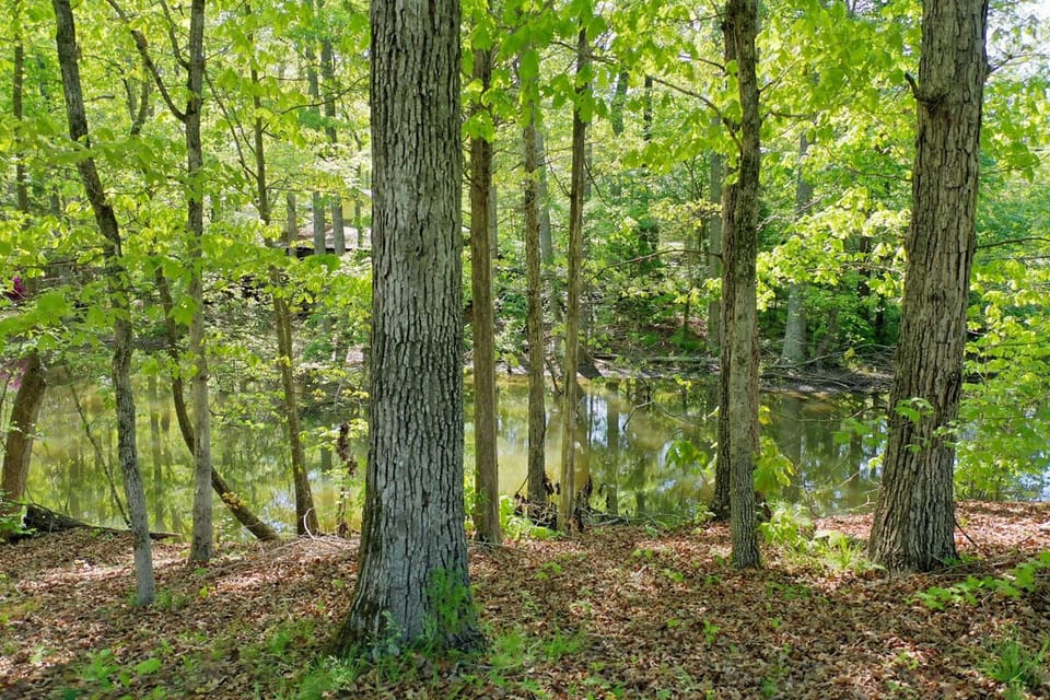 Cove around the house 