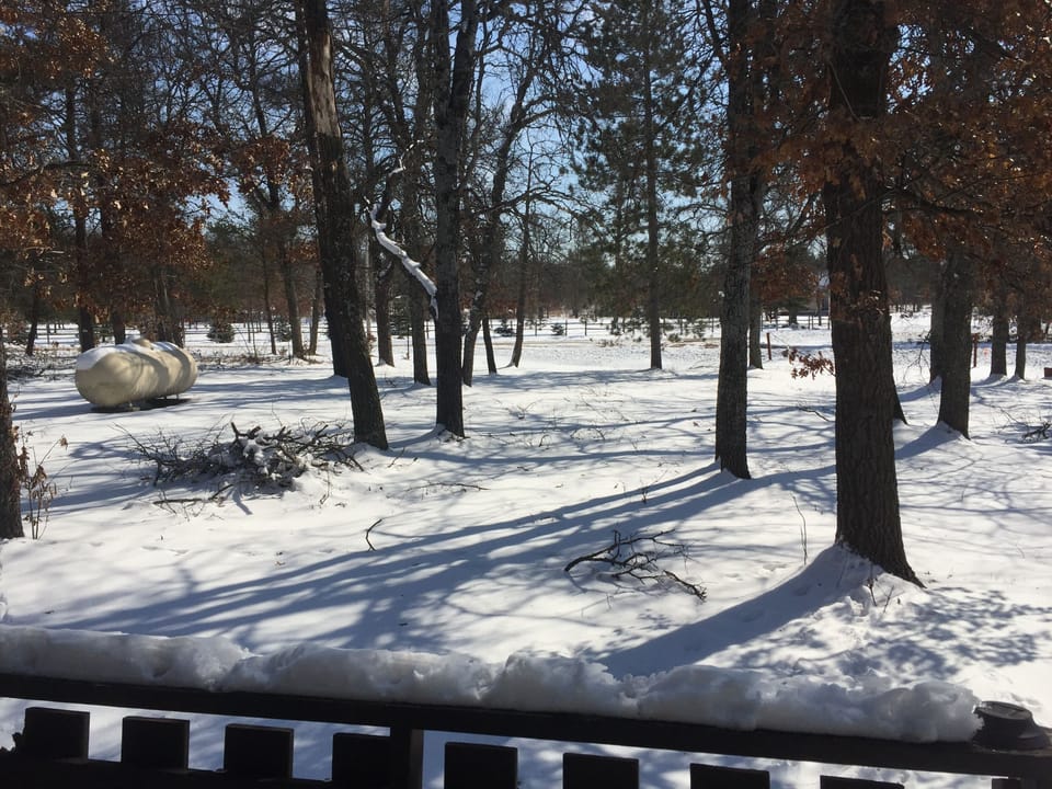 Looking out front yard