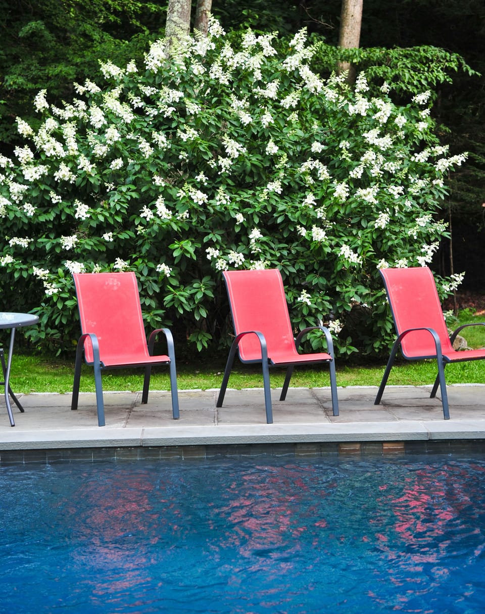 Heated pool - please see the navigation bar