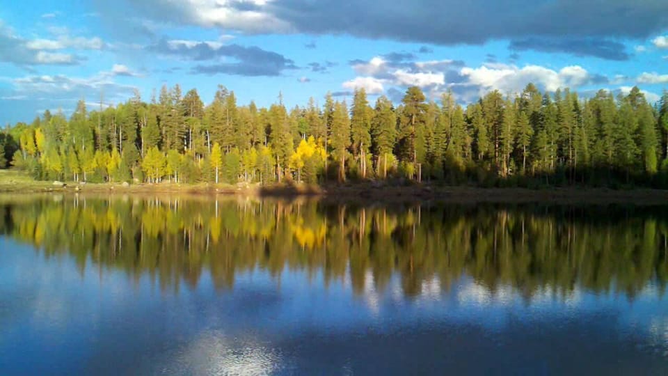 This wonderful lake 5 minutes from house! Many lakes, streams & fishing nearby! 