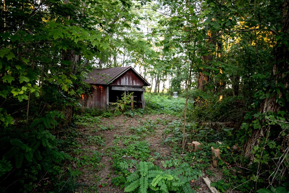 Original shed in the orchard.  Hope to make this bigger someday!