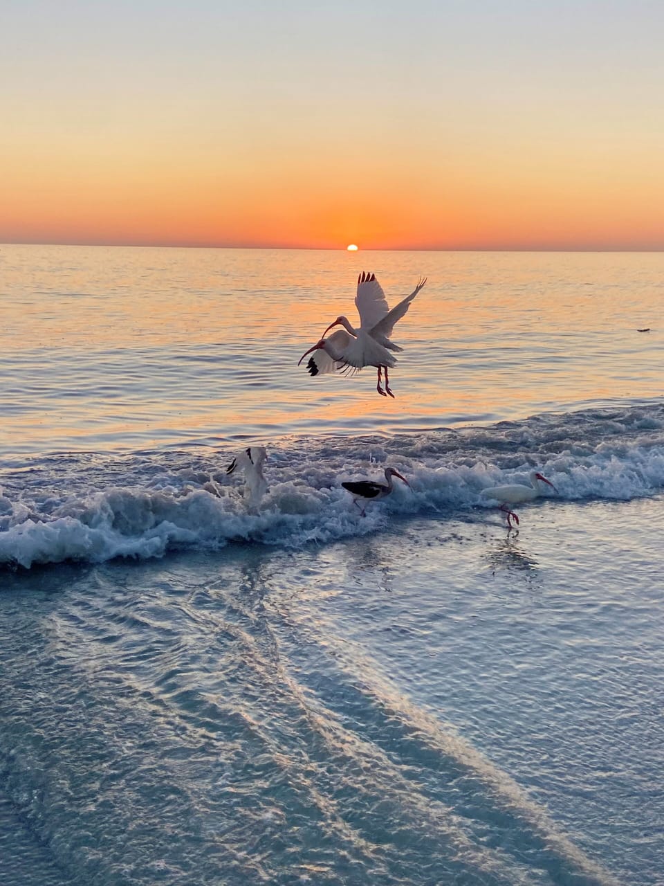 Sunsets every night.