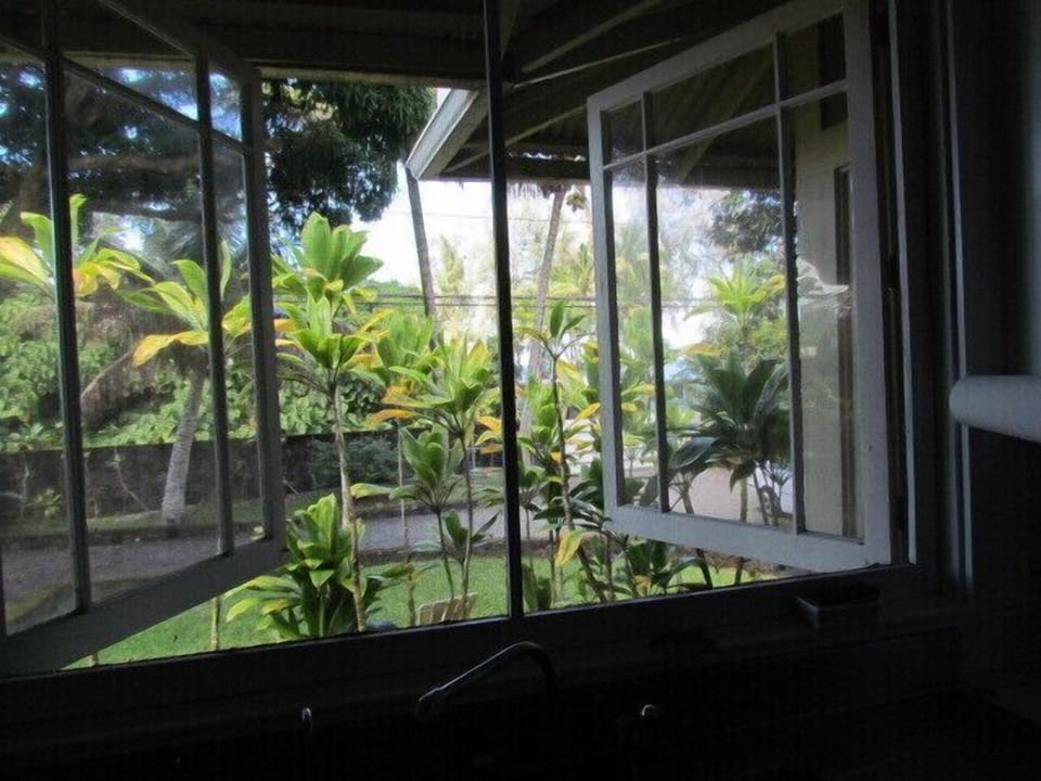 View from kitchen window