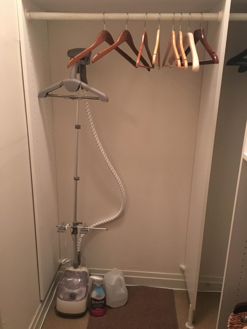 Upright Clothing Steamer available in Master Bedroom 