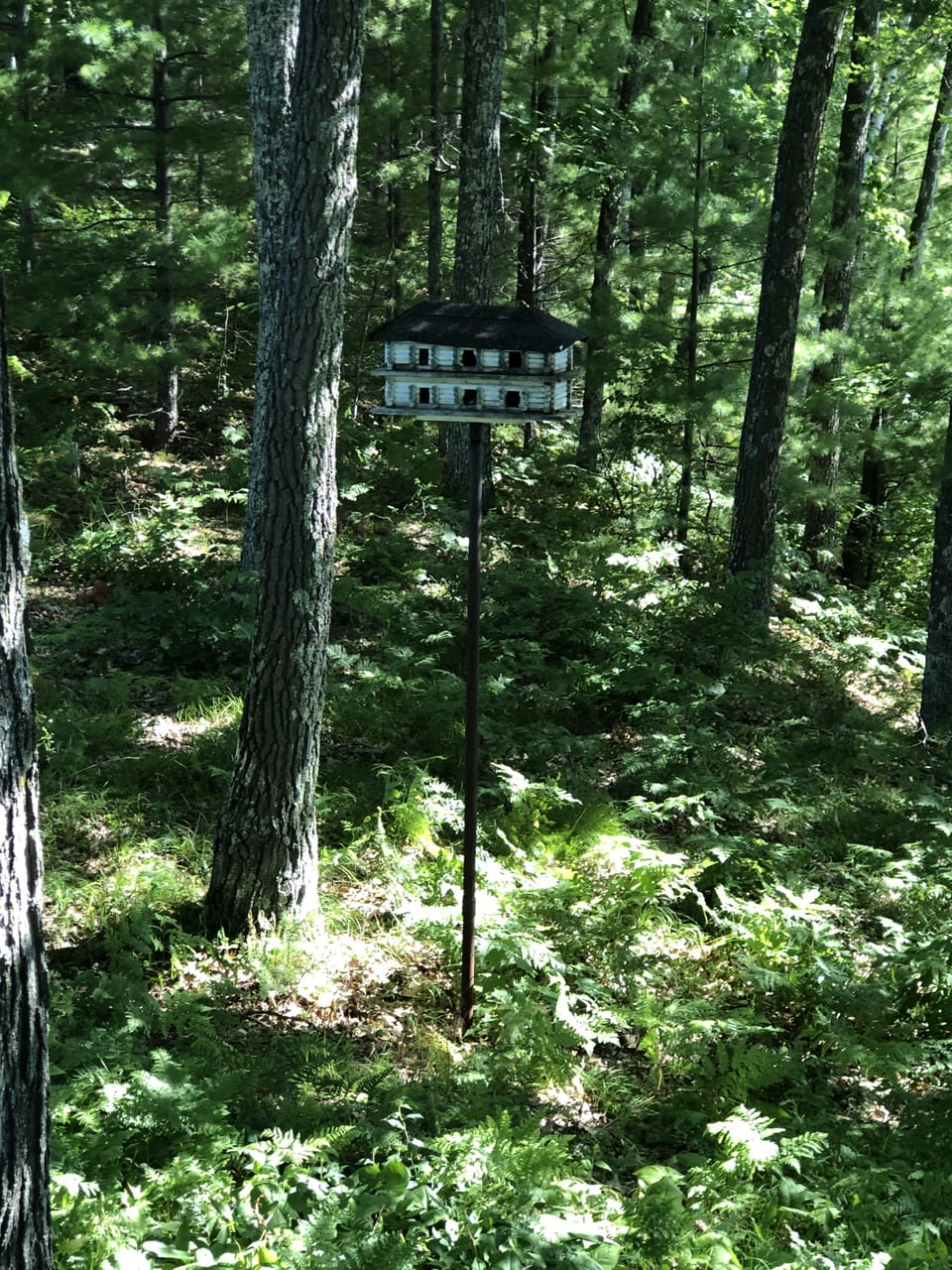 Bruce his father’s birdhouse. Built in the early 50s.