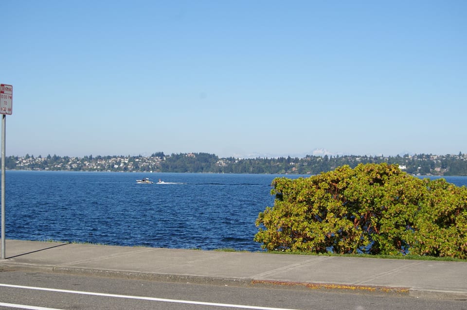 Summer fun living on Lake Washington
