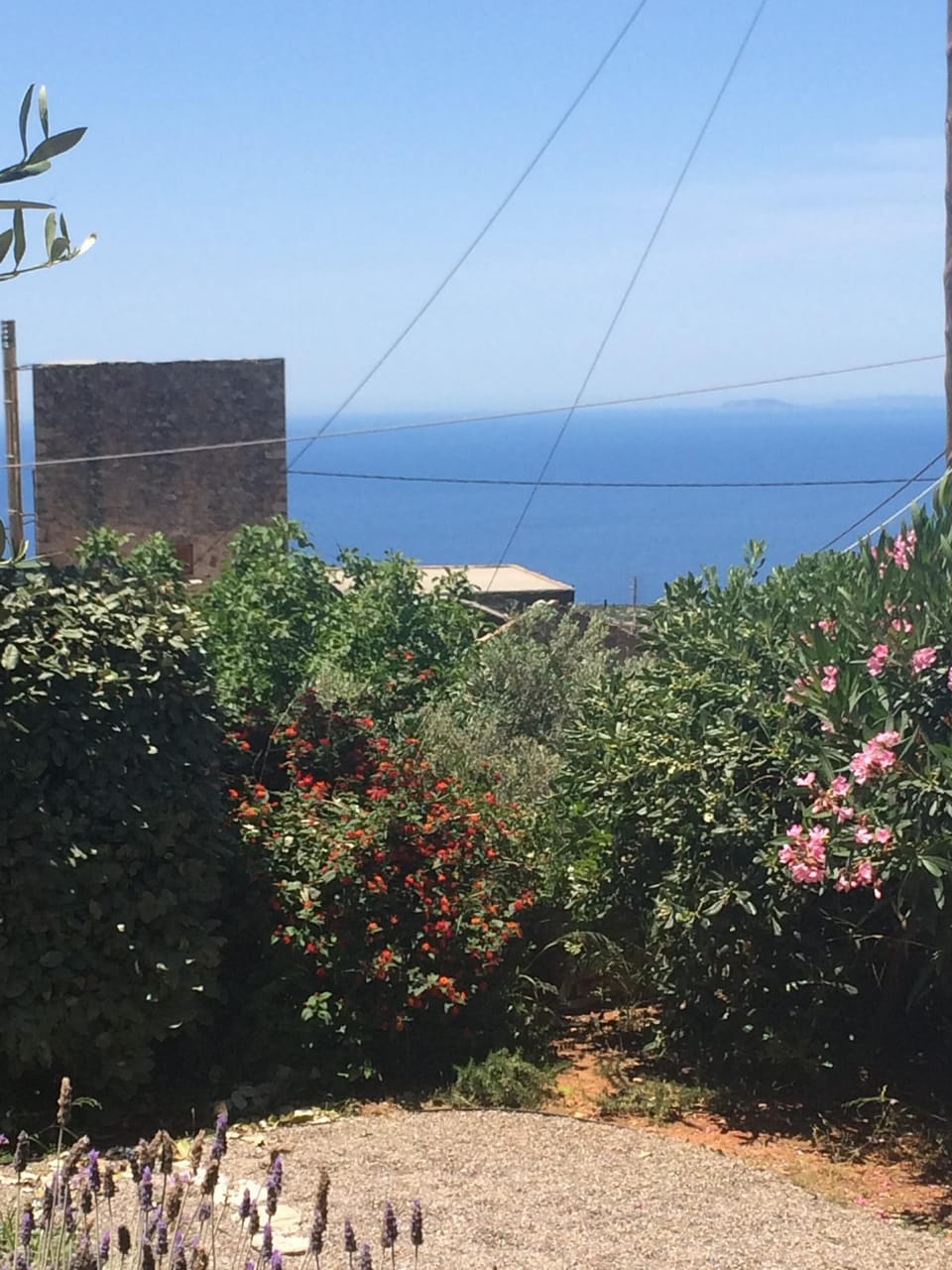 View from the bedroom window