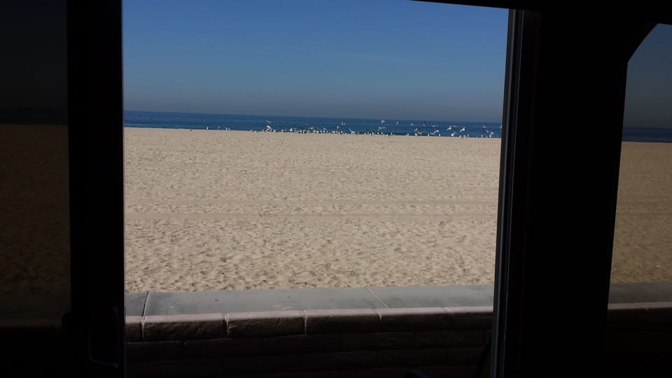 view from the family room 