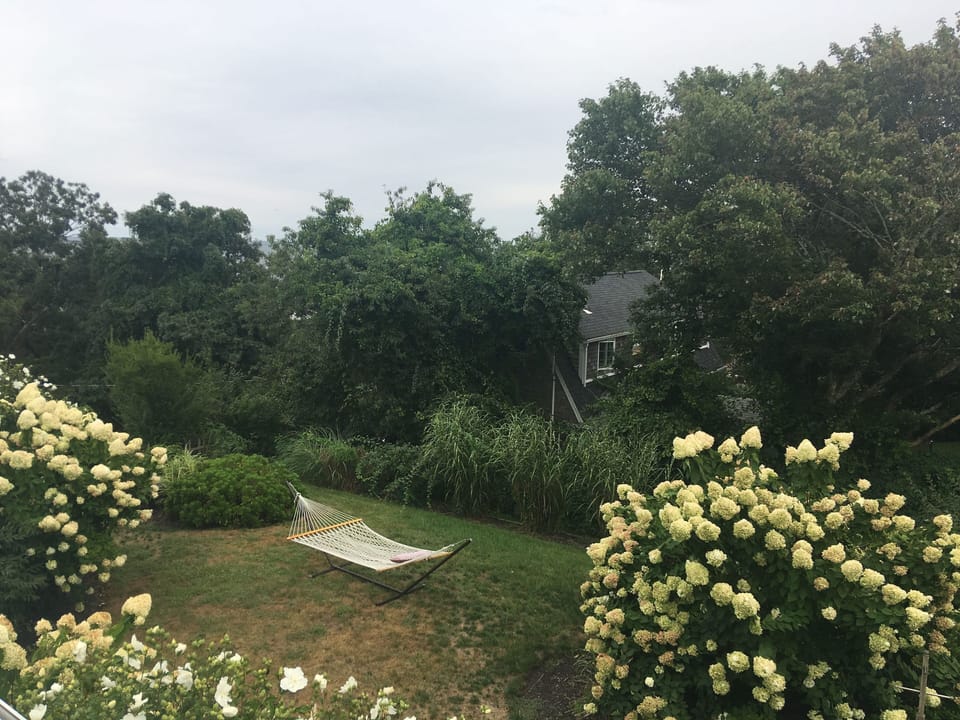Hammock and hydrangeas