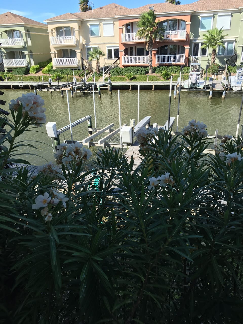 Harbor, view from deck