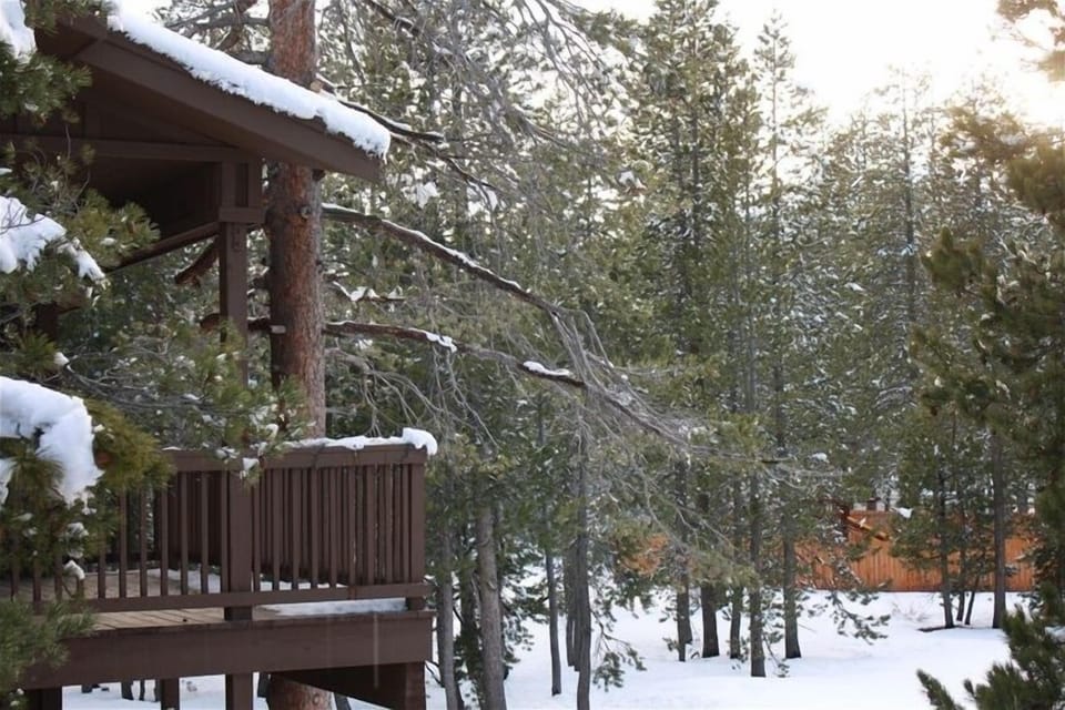Winter view off the back deck