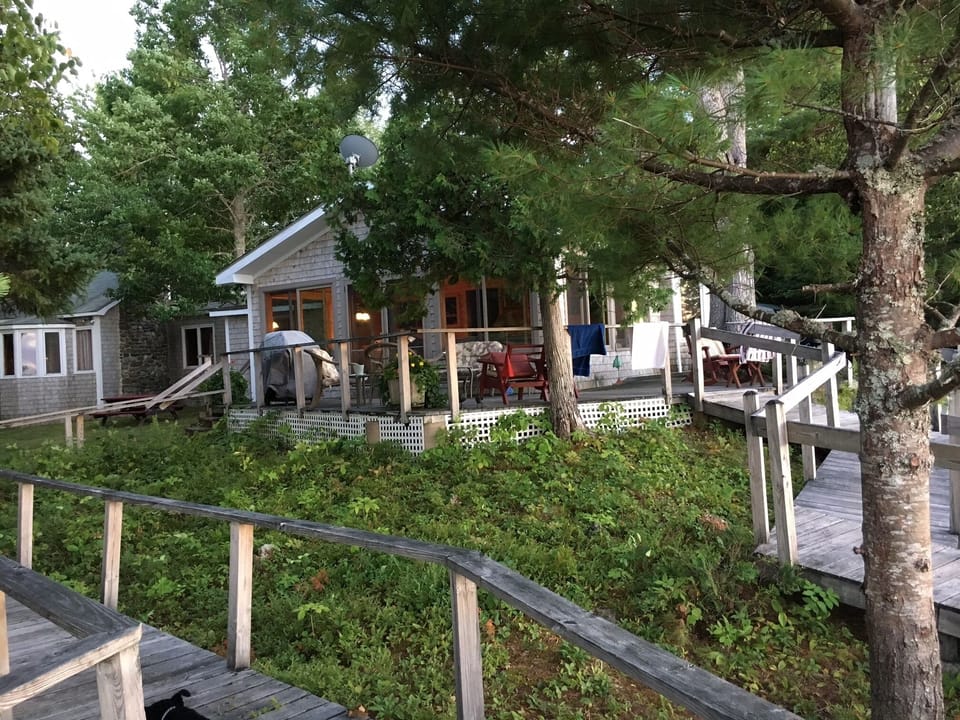 Back Decks