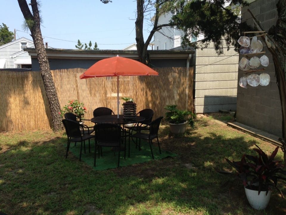 patio area 2013
